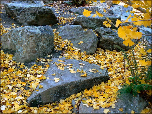 282003 (a): :1600x1200